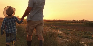 日落时分，父子俩一起在田野里散步