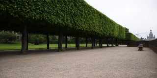 公园景观包括修剪树木的小巷、易北河的堤岸。