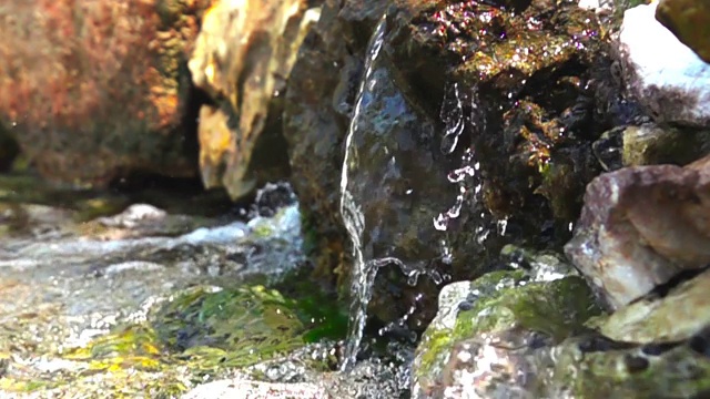 春江在长满青苔的岩石间流淌。慢动作特写1000帧/秒。