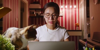 亚洲女商人晚上在家加班，宠物(猫)会打扰她们，在笔记本电脑上召开视频电话会议或虚拟会议