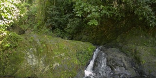 小瀑布流过群山。美丽的淡水在热带雨林的阳光下流入自然池塘。南托克拉曼森林公园。