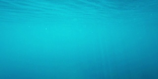 水下背景- 4K分辨率