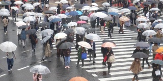 带着伞的人群