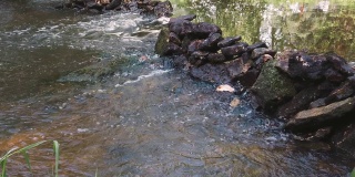 河水从石头中流过。慢动作镜头