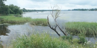 特维尔地区的伏尔加河。好钓鱼的地方。