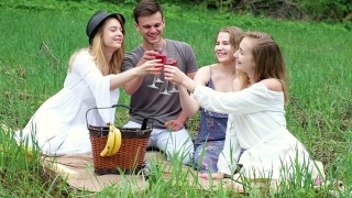 人们喝红酒玩得开心，用葡萄酒、食物在大自然中度过活跃的假期视频素材模板下载