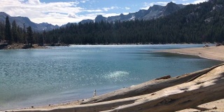 水的运动反射闪光闪亮闪亮的玛丽湖，美丽的树桩木材前景，松林与雪在夏季，山顶遥远的猛犸山，美国加利福尼亚