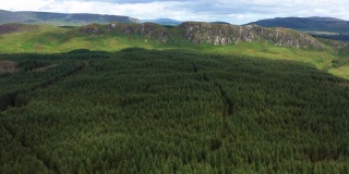 苏格兰西南部农村地区森林的鸟瞰图
