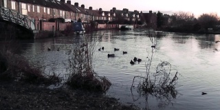 日落时分，鸭子在河上飞翔和降落