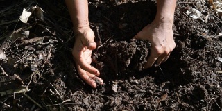土壤肥力分析由女农民手持耕地耕田土进行质量检查，慢拍