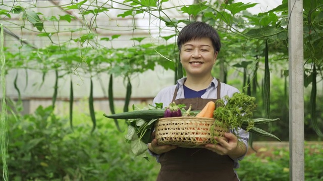 一位华裔女性中年女农民在温室里开心地看着镜头