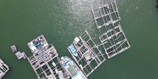 香港南丫岛索罟湾的海鱼养殖筏子