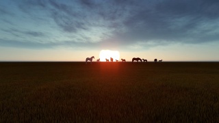 日落时马在草地上吃草视频素材模板下载