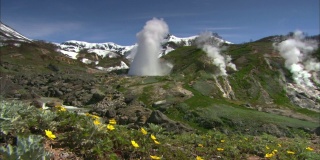 堪察加半岛的春花。间歇泉中的蒸汽。火山的花朵和熔岩。间歇泉谷。克罗诺茨基国家自然保护区。
