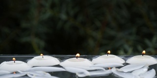 在水中燃烧的小蜡烛和荷花花瓣的特写