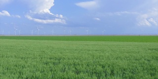 农作物和风车的鸟瞰图