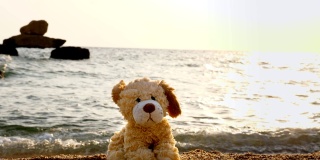 特写，玩具狗孤独地坐在沙滩上，背对着大海，日出或日落