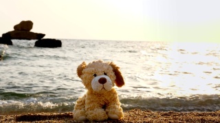 特写，玩具狗孤独地坐在沙滩上，背对着大海，日出或日落视频素材模板下载