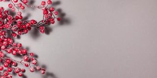 红色的浆果在树枝上圣诞装饰在灰色的背景