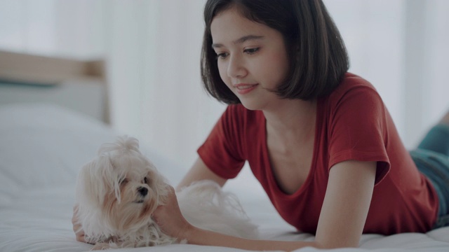 年轻女子和西施犬在床上