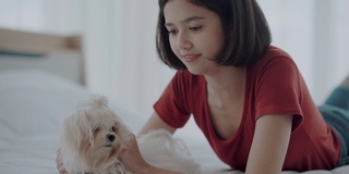 年轻女子和西施犬在床上