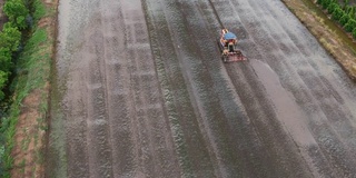 拖拉机在田里运行。在泰国的雨季，农民用第一辆汽车为种植水稻做准备