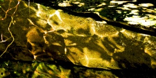 光反射在小溪边的岩石上