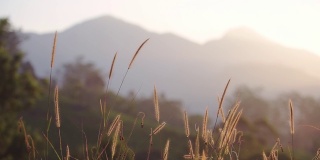 日出时，印度芒纳尔的山脉和丘陵景观