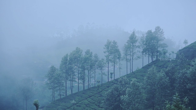 一个雨天，印度喀拉拉邦穆纳尔的茶园景观