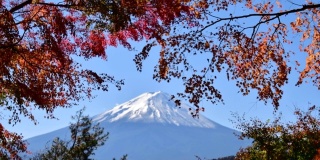Mt Fuji and Autumn Leaf Color: View from Lake Kawaguchi, Japan