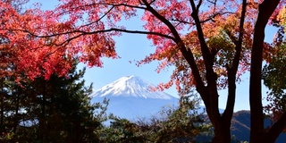 富士山和秋叶颜色:从川口湖看，日本