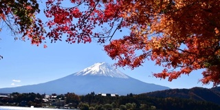 富士山和秋叶颜色:从川口湖看，日本