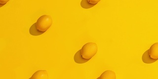 停止运动收集柠檬在黄色的背景。