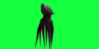 绿色屏幕上的3d章鱼怪兽动画