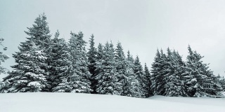 美丽的冬季景观和白雪覆盖的树木。冬天的山。