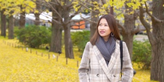微笑的年轻亚洲女性游客在日本昭和基嫩公园散步，看着美丽的黄色银杏叶在秋天落下。日本旅游度假和季节变化的概念。