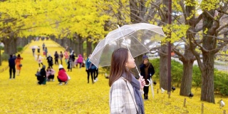 在日本昭和基嫩公园，微笑的年轻亚洲女游客撑着伞，看着美丽的黄色银杏叶在秋天飘落。日本旅游和季节变化的概念。