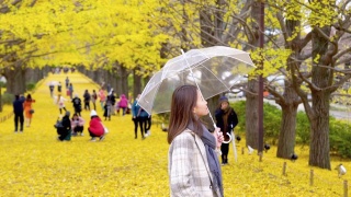 在日本昭和基嫩公园，微笑的年轻亚洲女游客撑着伞，看着美丽的黄色银杏叶在秋天飘落。日本旅游和季节变化的概念。视频素材模板下载