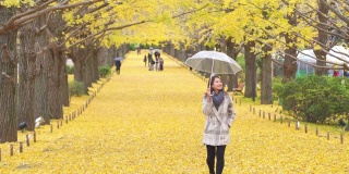 在日本昭和基嫩公园，微笑的亚洲女游客撑着伞走在雨中，看着美丽的黄色银杏叶在秋天飘落。日本旅游和季节变化的概念。