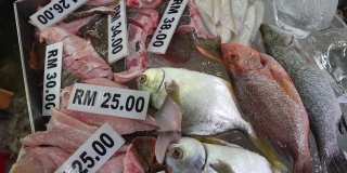马来西亚户外菜市场出售的鲜鱼