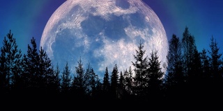 巨大的月亮带着五颜六色的光晕升起在森林的剪影上