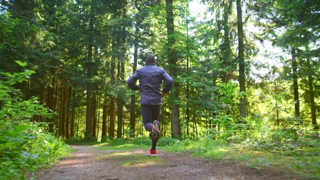 SLO MO TS男性跑步者在阳光下的森林小路上跑步