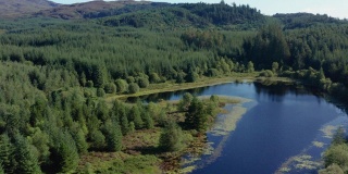 苏格兰西南部的邓弗里斯和加洛韦森林里的一个小湖的高角度视图