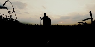 在干燥的田野里，战士手持长矛摆姿势的剪影。