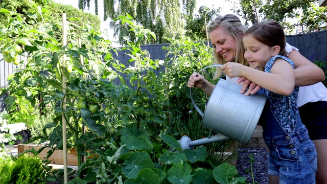 母亲和女儿在家里浇灌自己种的菜圃