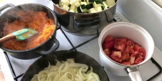 烹饪南瓜鱼子酱。原料是在煤气炉上煮的。西葫芦、胡萝卜、西红柿和洋葱在火上炖。