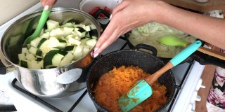烹饪南瓜鱼子酱。原料是在煤气炉上煮的。一名妇女正在混合烹饪西葫芦、胡萝卜、西红柿和洋葱。