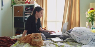 十多岁的女孩，一名大学生，坐在自己房间的床上，抚摸着猫，用笔记本电脑工作。