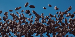 蓝色背景下的咖啡豆