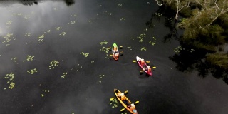 鸟瞰图在泥炭沼泽森林湿地的早班皮划艇